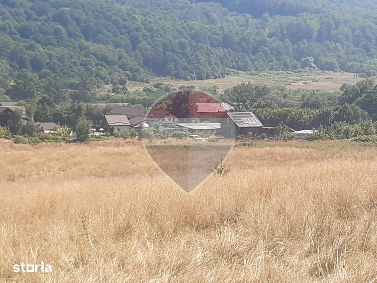 Teren extravilan-pasune, 6,300mp Rasnov / Soseaua Risnov-Paraul Rece - 6