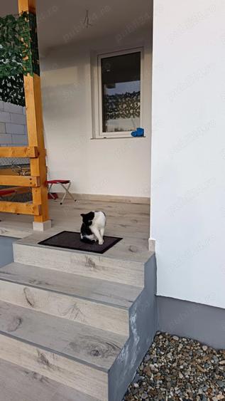 Casă cu 3 camere cu Teren 300 Mp în Livezile