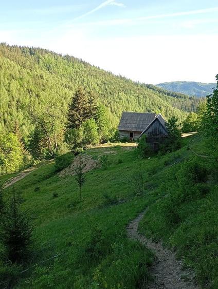 Casă cu 2 camere în Horea