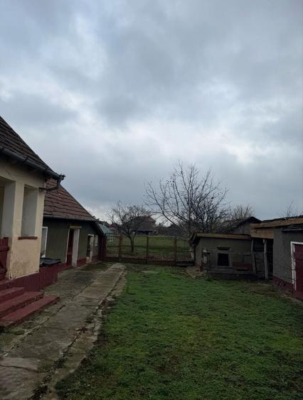 Casă cu 2 camere în Livada de Bihor