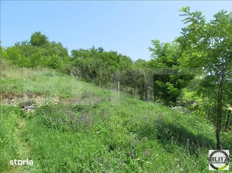 Investitie !Teren extravilan,15554 mp, zona in plina dezvoltare - 1