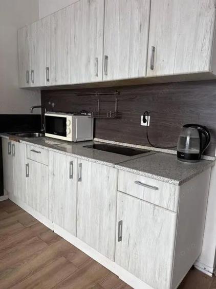 De inchiriat apartament 1 camera in zona Balcescu - 1