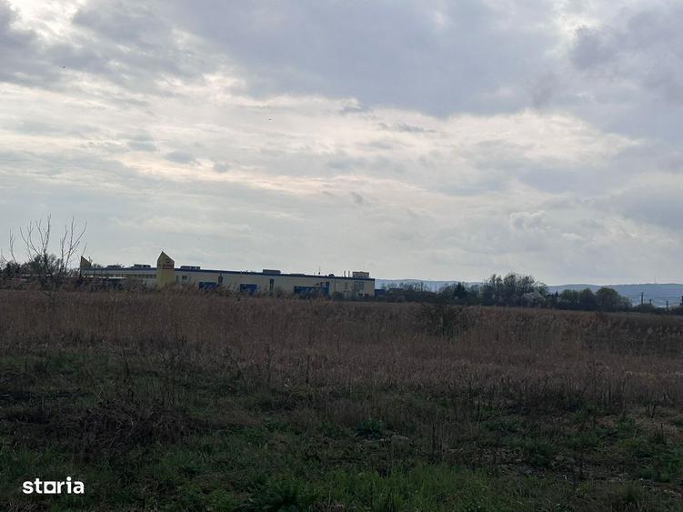 Teren intravilan industrial 26112 mp intre Selgros si Marso - Ernei - 6