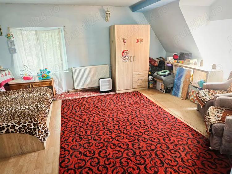 Vanzare casa si teren - 3