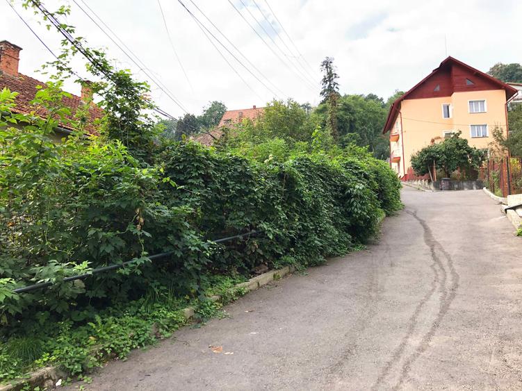 Casă de vânzare în Brașov - 5