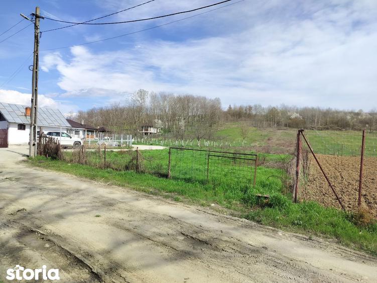 Vand teren 2 km de Mioveni - 2