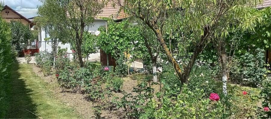 Vand casa in Simleu Silvaniei - 8