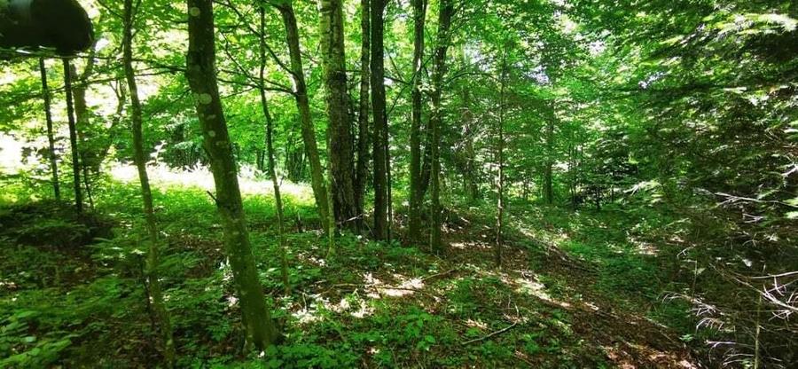 Teren Valiug 900-2400 mp acces auto utilita?i negociabil - 18