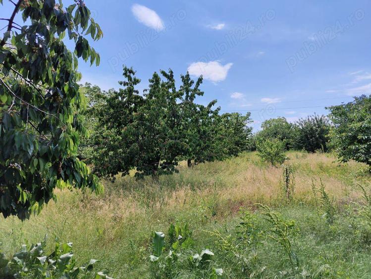 Casa de vanzare loc. podgoria, jud buzau - 3