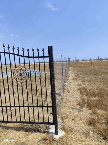 Vanzare teren Techirghiol - 5