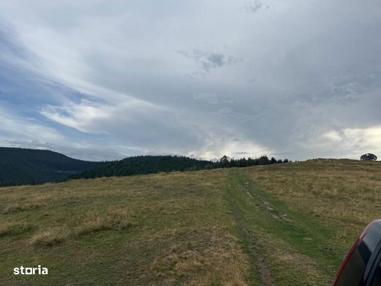 Teren Extravilan de Vanzare in Paltinis - Oportunitate Exceptionala In - 2