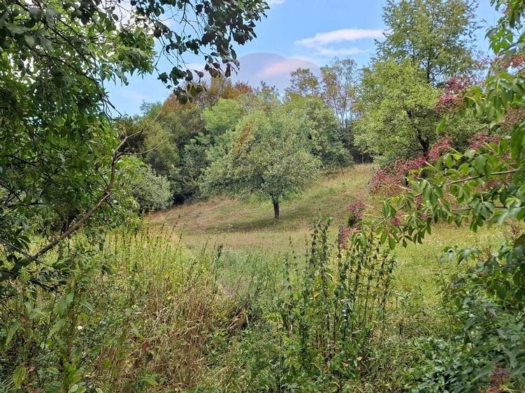 Teren construibil de vânzare 990mp în Barzava, județul Arad - 1