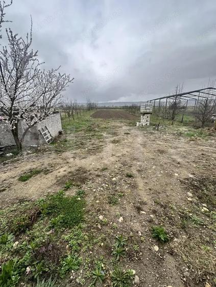 PROIECT CASA si TEREN INTRAVILAN GENEROS - 1