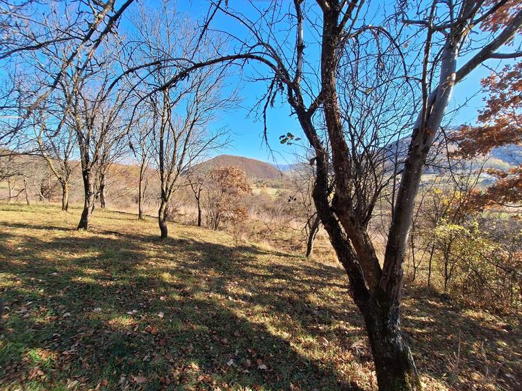 Vand teren la Sibiel - 3