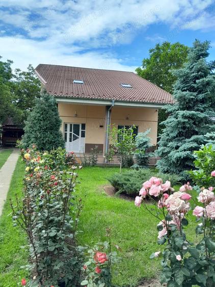 Casa spa?ioasa de vanzare in Milcov Deal lini?te, natura ?i confort, la doar 3 km de Slatina! - 4