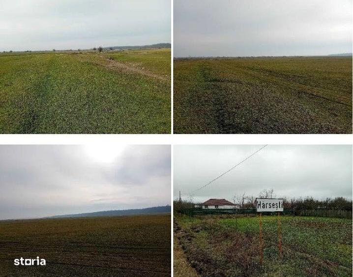 Teren extravilan 635 mp Harsesti, ID: R2922302 - 8