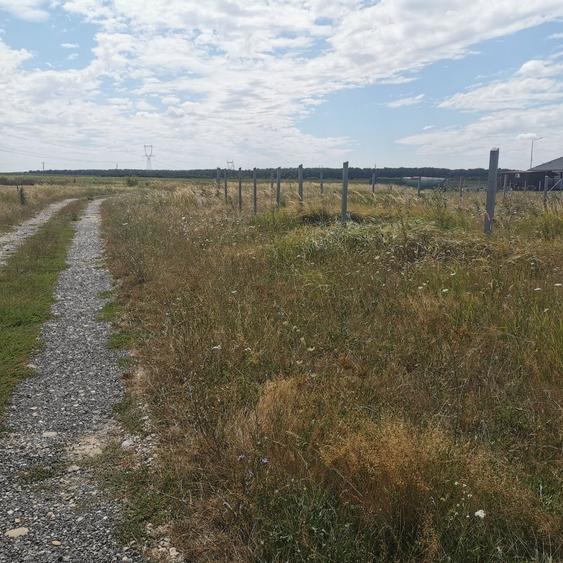 Teren intravilan in Les - 1