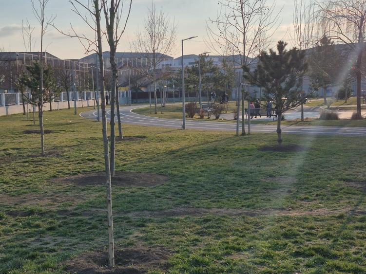 Casă de închiriat în Chiajna, lângă Petru Rareș - 2