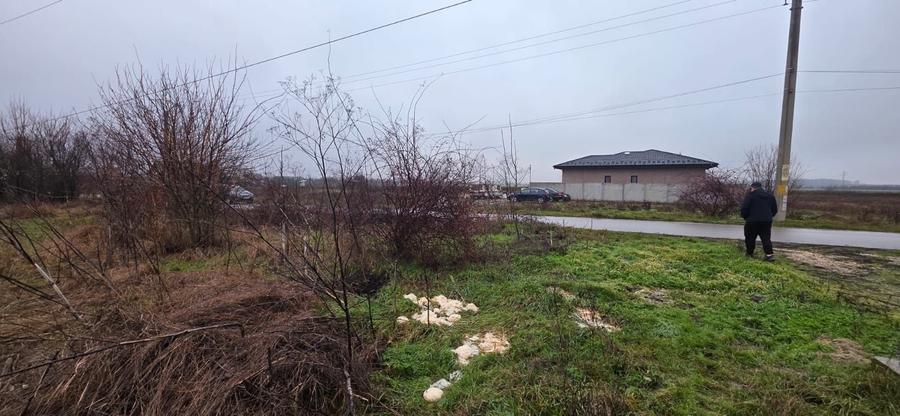 Teren 5000 mp 1 decembrie - strada Oituz - 6