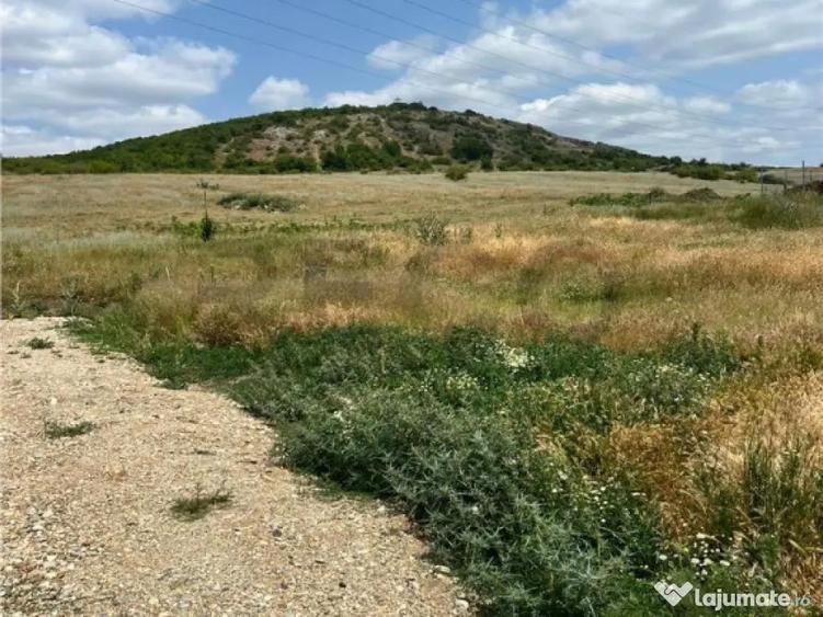 RECO teren de in zona Betfia - 4