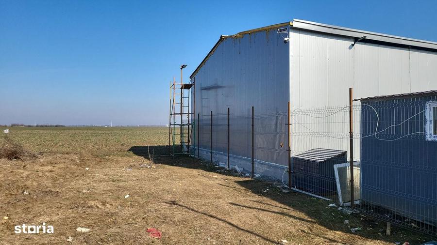 VAND HALA METALICA 175mp + TEREN 900 MP | deschidere la 2 drumuri - 3