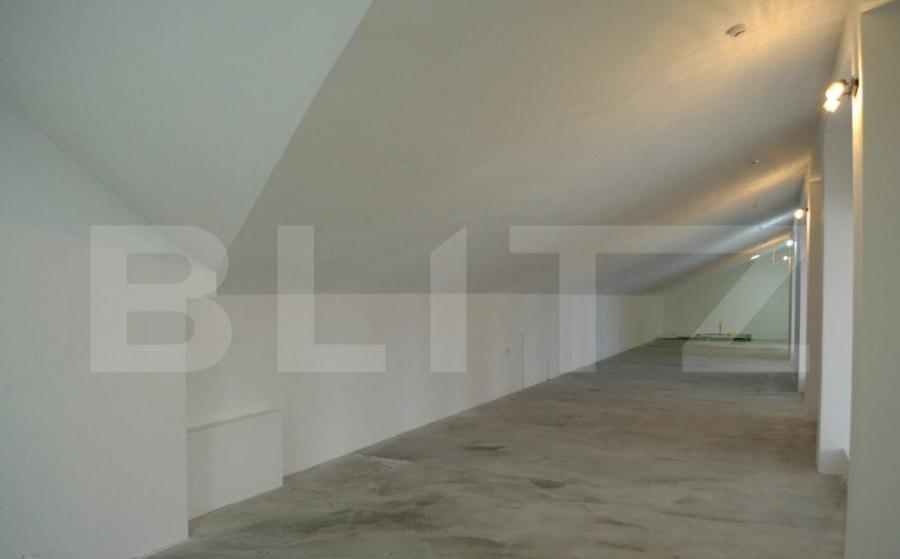 Spatiu industrial, 1890 mp + teren 10450 mp, zona Burdujeni - 8