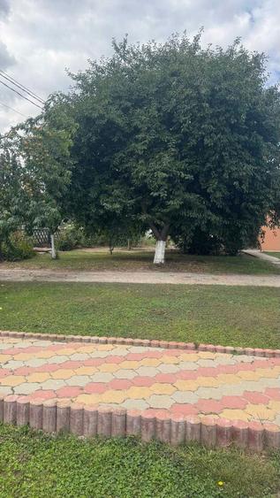 Casa cu pod mansardabil, 20 km de Delta Dunarii - 6