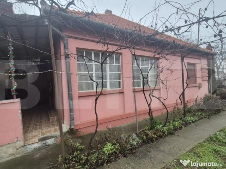 Casa 4 dormitoare, 190 mp, 1306 mp teren, zona Careiului - 4