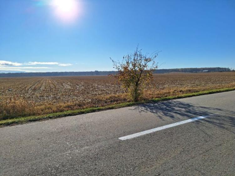 Teren de vânzare: 5.000 mp. De-a lungul Drumului Inelar Sud-Vest Ploiești, Drumul DN1A si 157 - 1