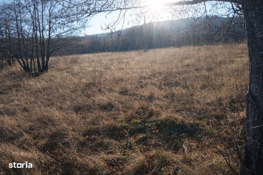 Teren extravilan | Vicovu de Jos | Pret 25.000 - 1