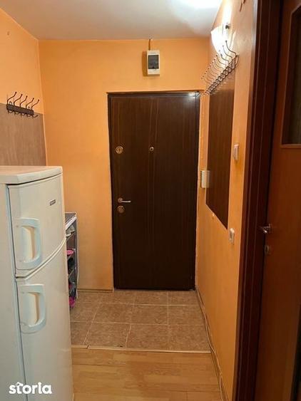 Garsoniera Lapus Arges (zona frigorifer ) - 4