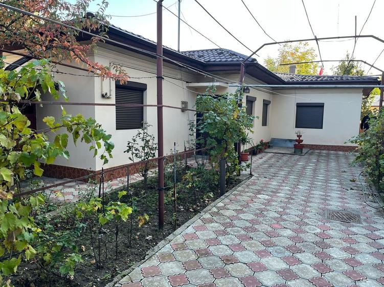 TEREN 331MP | DESCHIDERE 12M - 1