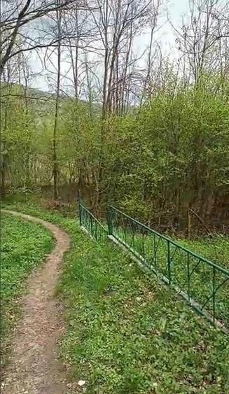 Teren la Rau si Padure Ideal Cabana, Liniste Totala - 6