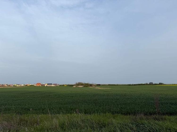 PF, Vand teren intravilan cu utilitati, in Timisoara, Metro 2 - 1