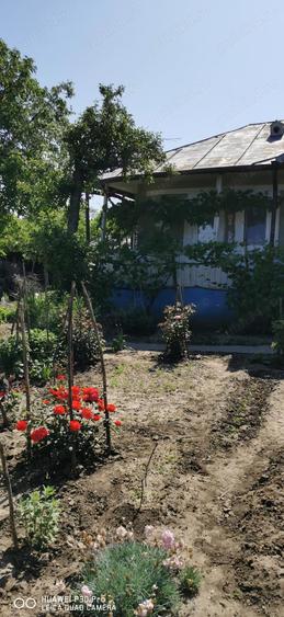 Vand casa frumoasa. - 3