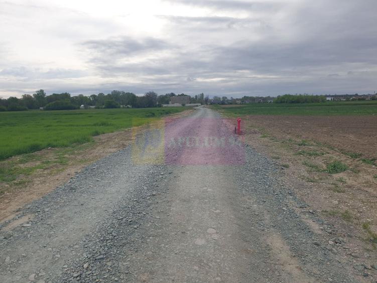 Teren ideal dezvoltare imobiliară în Măgurele strada Atmosferei - 9