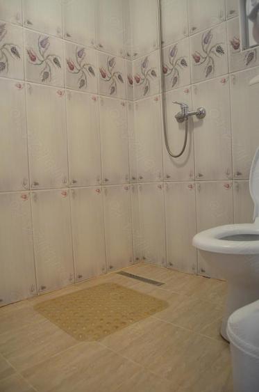 Casa de vacanta situata in Busteni,Valea Alba - 1