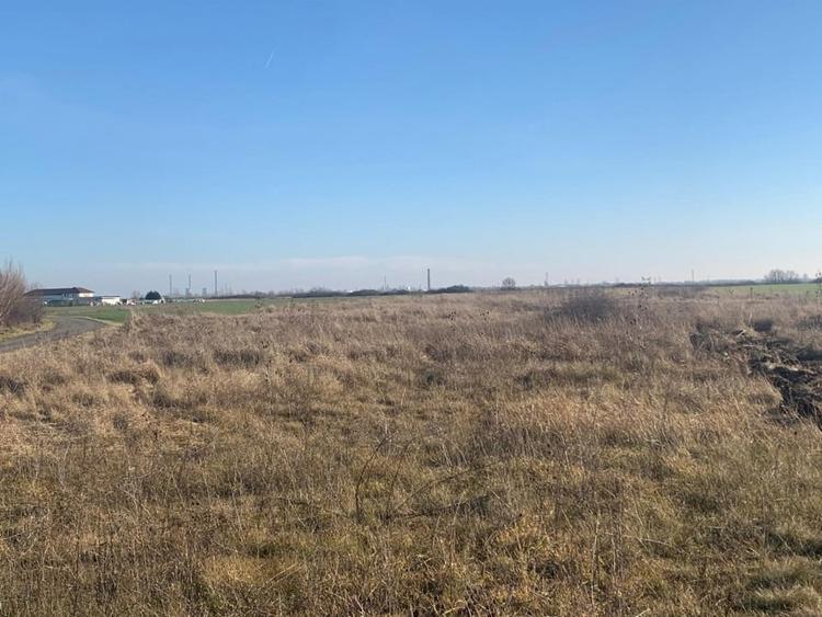 Teren pentru duplex in Sacalaz - 600 mp, in Spatele Cartierului Primaverii - 7