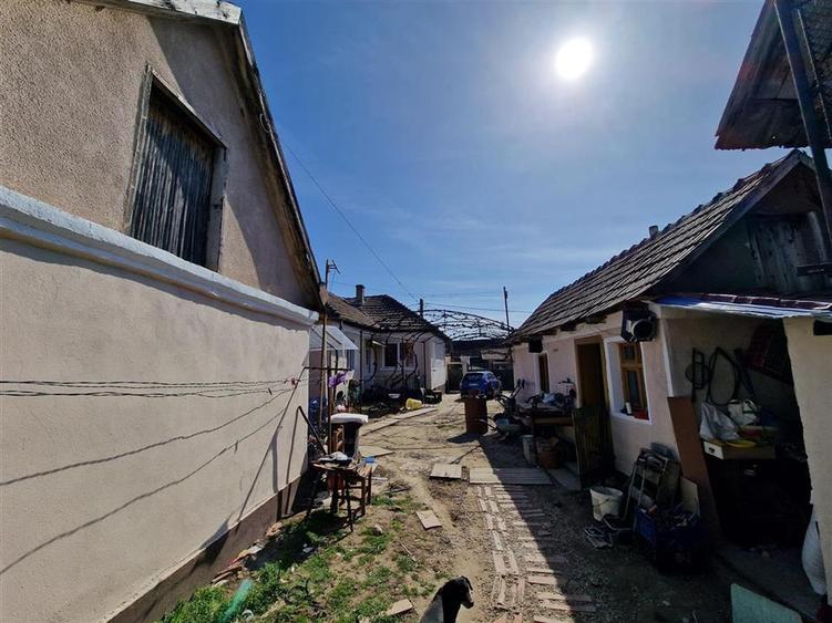RECO Teren mare cu 2 case in Sabolciu, com. Sacadat - 18