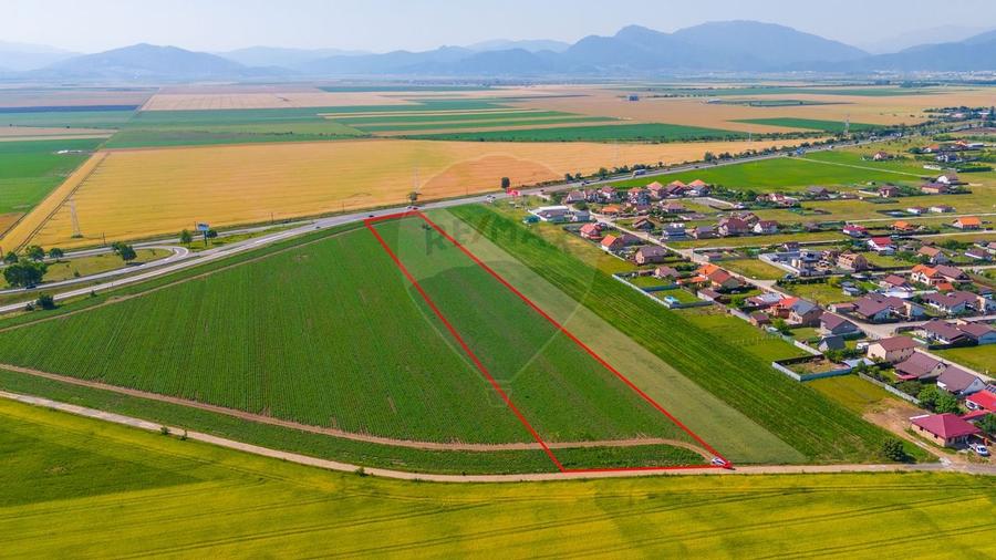 Teren Intravilan pentru dezvoltare imobiliara 15.600mp/Harman - 5