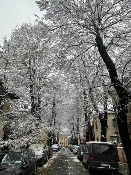 De vrei viață fericită, hai pe-o stradă liniștită! - 5