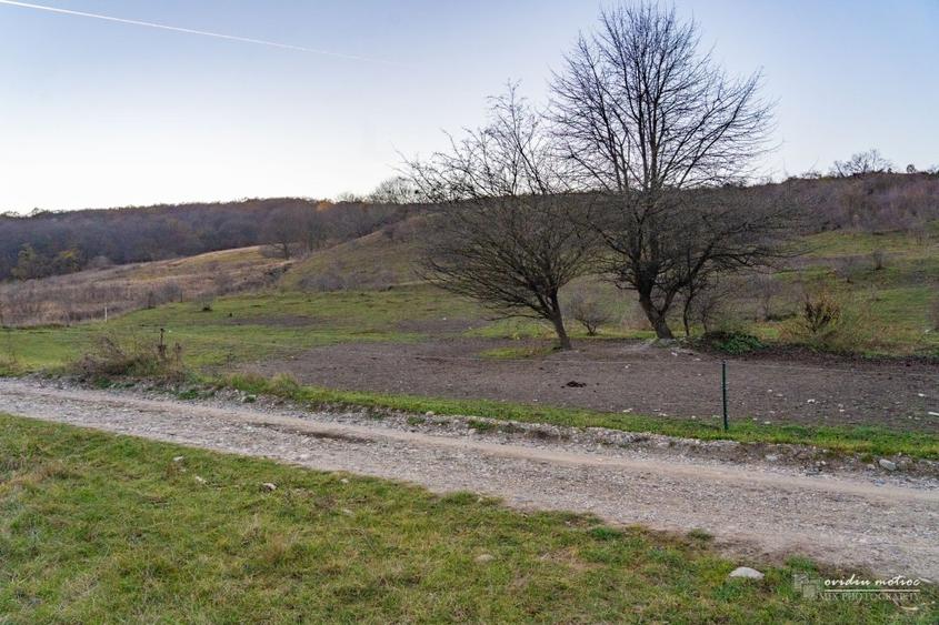 Teren investitii Valea Garbaului, CF+CU - 2