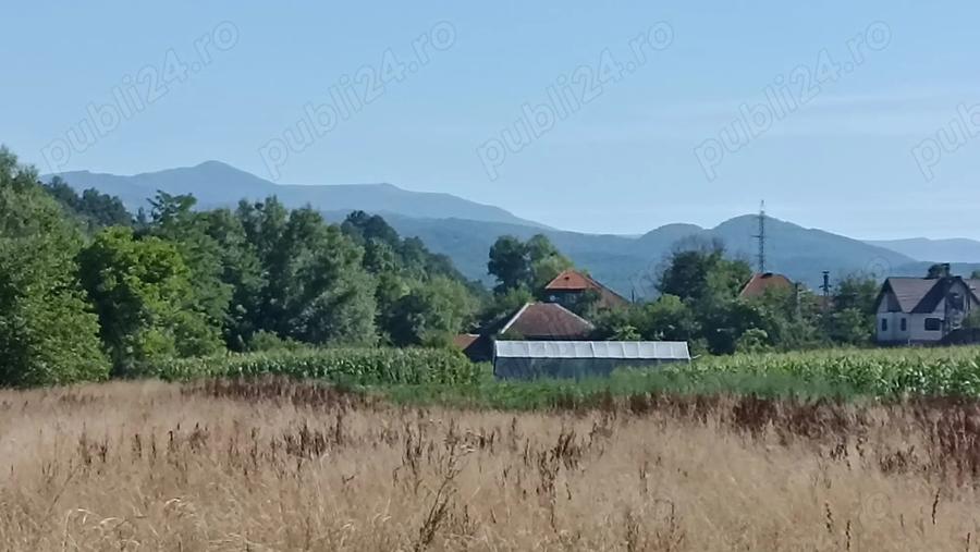 Casa caramida, 90mp, renovabila cu teren aferent 6416 mp - 4