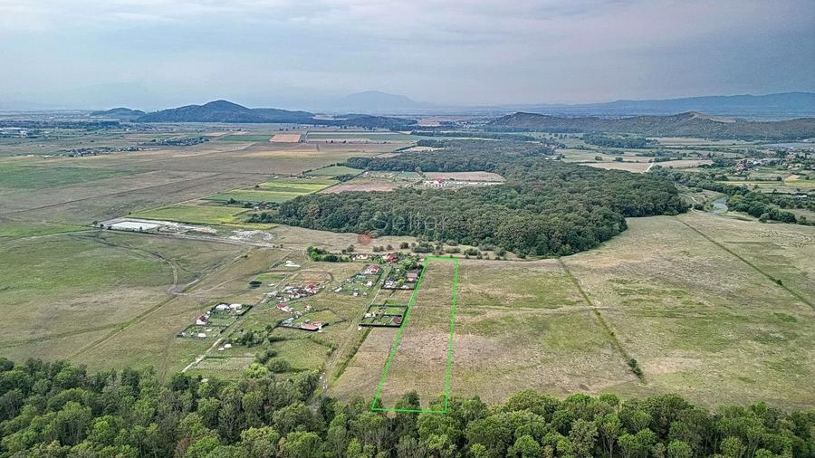 Teren Extravilan - 1