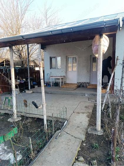 Casa in Com Chiselet Jud Calarasi - 3