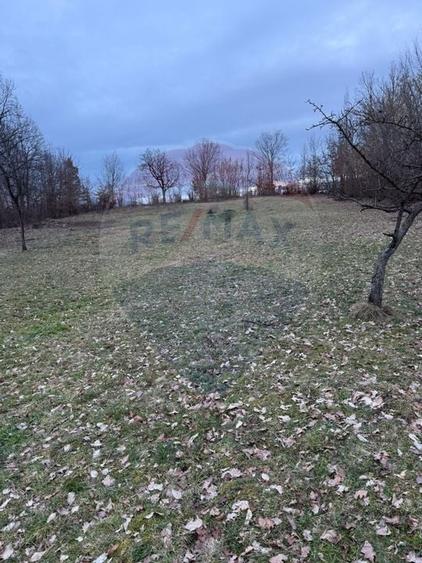 Teren intravilan cu priveliste de vanzare in Rus - 5