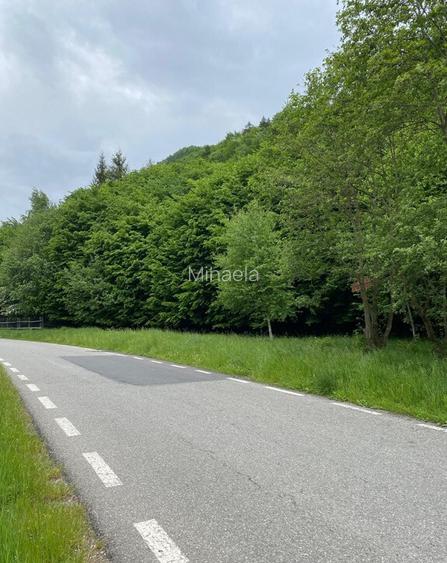 Teren intravilan Zarne?ti Plaiul Foii peisaj deosebit 2750mp Teren intravilan Zarne?ti Plaiul Foii peisaj deosebit 2750mp