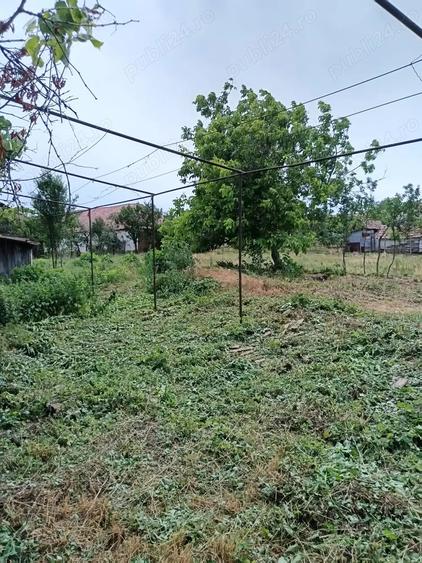 Casa ?i gradina 2100 mp - 8