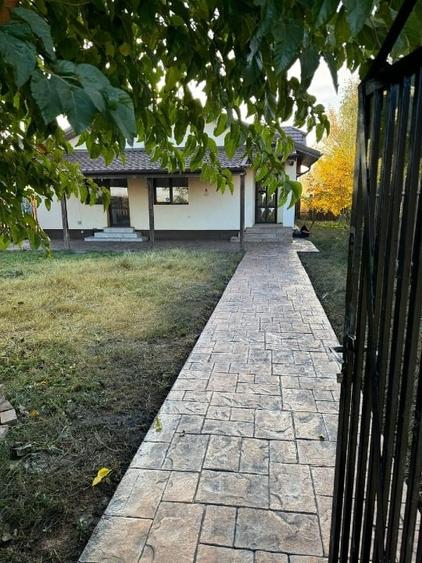 Casă parter, 3 dormitoare, teren 450 mp, Darza – Crevedia - 4