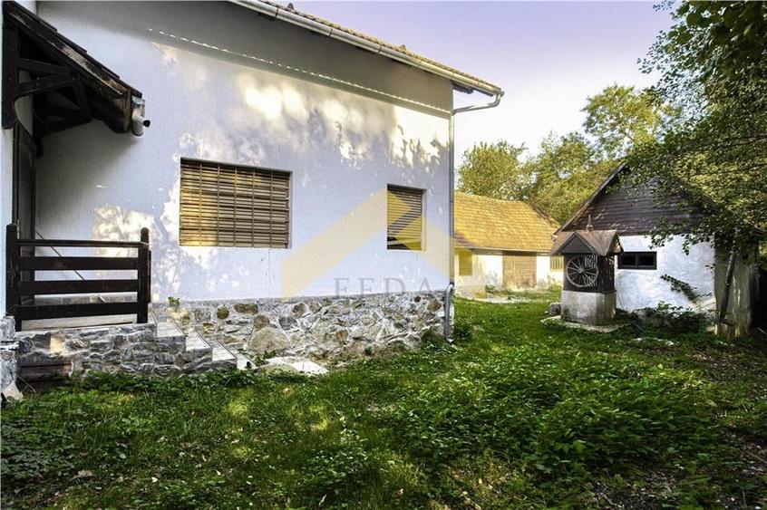 Casa cu padure de vanzare in Savarsini - 17